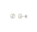 Classic Pearl Stud Earrings